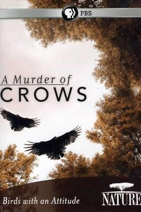 A Murder of Crows